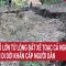 Tiếng nổ lớn từ lòng đất xé toạc cả ngọn núi to, Nghệ An di dời khẩn cấp người dân