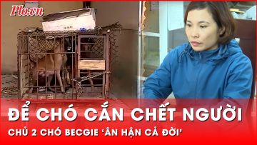 Tin nóng 24-11:  Người chủ nói ‘ân hận cả đời’ khi hai con chó becgie tấn công cháu bé tử vong