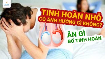 Tinh hoàn nhỏ có ảnh hưởng gì không?| Thạc sĩ, Bác sĩ Hoàng Thọ – Vinmec Times City