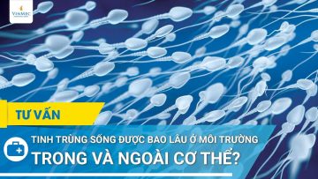 Tinh trùng sống được bao lâu ở môi trường trong và ngoài cơ thể?