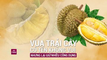 Vua trái cây, mùi gây khó chịu nhưng công dụng với sức khỏe thì khỏi phải bàn | VTC Now