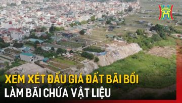 Xem xét đấu giá đất bãi bồi làm bãi chứa vật liệu | Tin tức