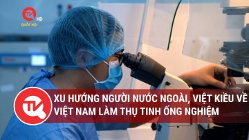 Xu hướng người nước ngoài, Việt kiều về Việt Nam làm thụ tinh ống nghiệm