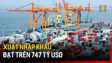 Xuất nhập khẩu đạt trên 747 tỷ USD | Tin tức