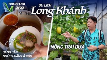 YDL #269: Khám phá Long Khánh, thăm nông trại dưa và nhiều món ngon địa phương | Yêu Máy Bay