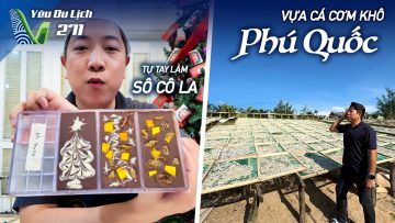 YDL #271: Kỳ thú nghề phơi cá cơm ở Phú Quốc. Lần đầu tự làm sô cô la. | Yêu Máy Bay